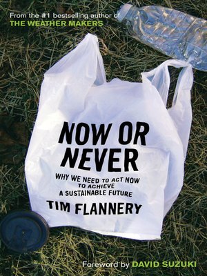 Now Or Never - ebook
